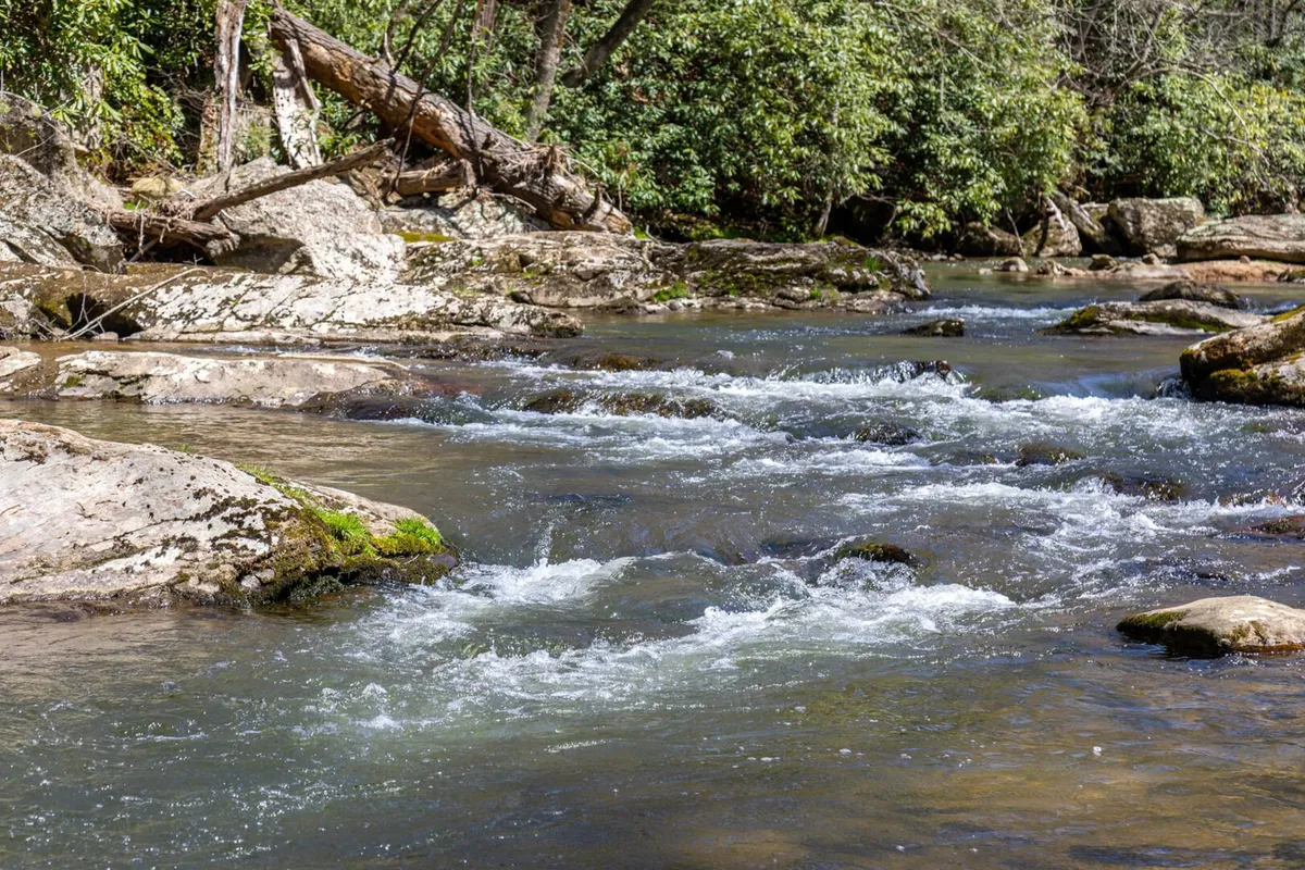 A serene riverside setting featuring flowing water over smooth rocks, encircled by lush greenery. The space is ideal for quiet moments, wildlife spotting, and direct access to fishing or picnicking by the community riverfront.