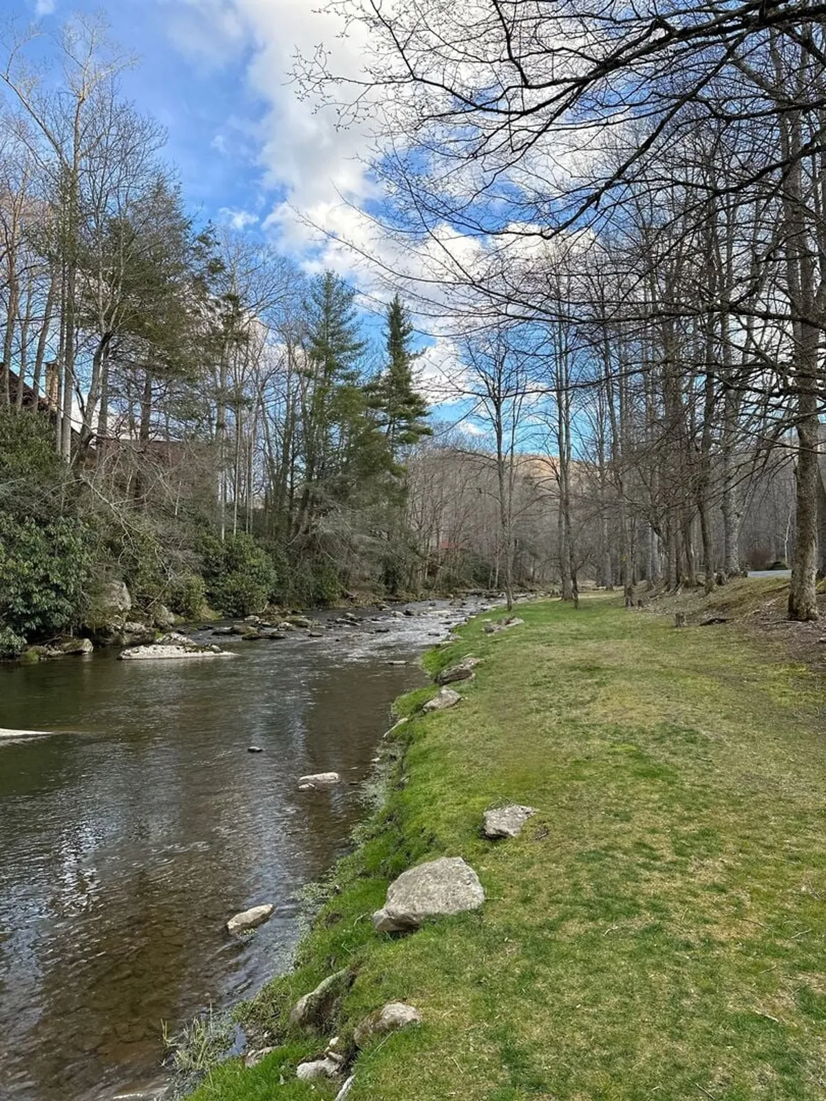 A tranquil, grassy riverbank stretches alongside the gently flowing water, bordered by a line of mature trees. The area is bathed in soft light, perfect for a riverside picnic, fishing, or simply relaxing to the sounds of nature. There are no visible people, allowing viewers to imagine themselves in the scene.